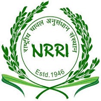 NRRI Recruitment