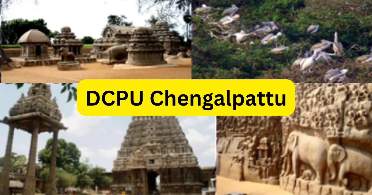DCPU Chengalpattu Recruitment